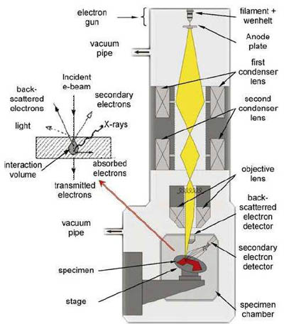 掃描電鏡 結構圖