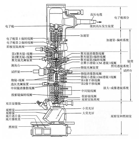 透射電鏡結構圖