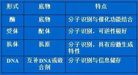 分子识别元件