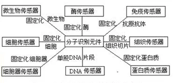 生物传感器的分类