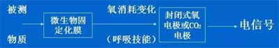 微生物的呼吸可用氧电极或二氧化碳电极来测定结构