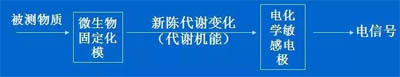测定微生物代谢产物