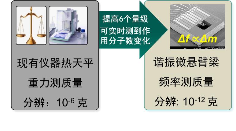李昕欣：一顆芯片改變了一整類高端科學(xué)儀器的命運(yùn)