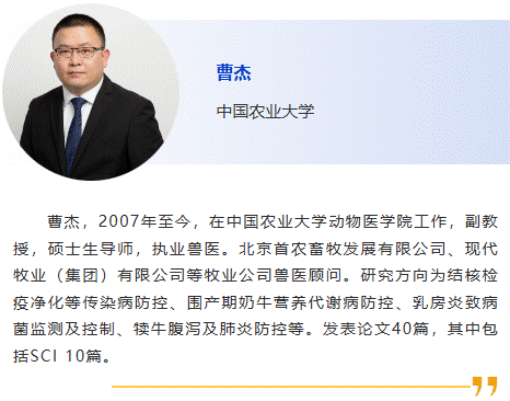 曹杰