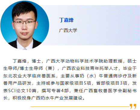丁嘉烽