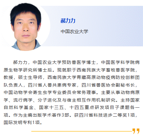 郝力力