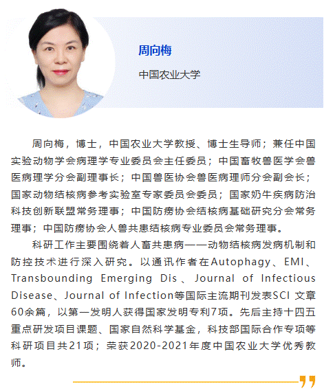 周向梅