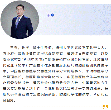 王亨
