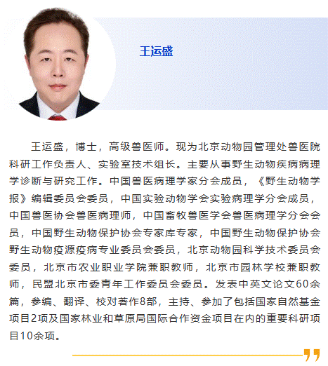 王運盛
