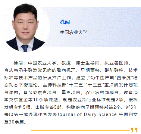 徐闖